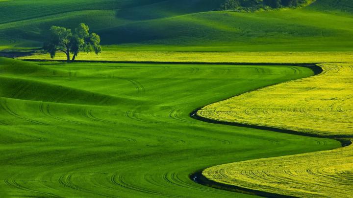Free download Nature Best Full HD Nature Background Wallpaper For 