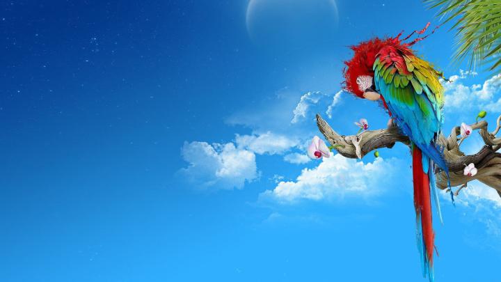 Free download High Definition HD Wallpapers 230 Full HD Wallpapers 