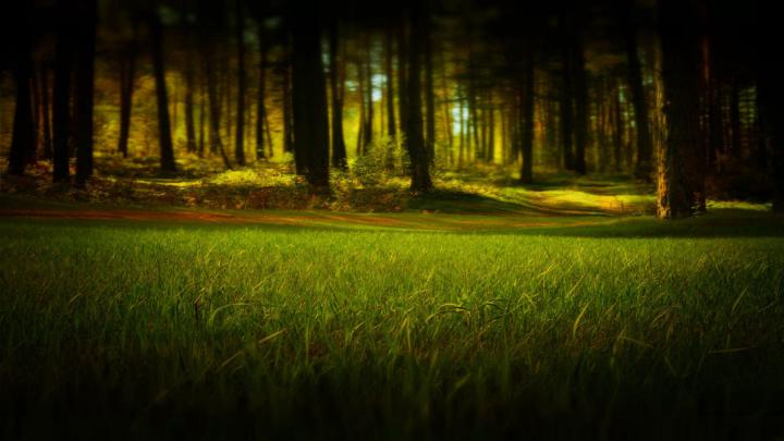 HD Wallpaper, Landscape, Monitor, HD Nature Wallpaper, Background 