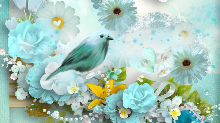 Nature, Flowers, Love, Amazing, Nice Weather, Sky, Feeling, High 