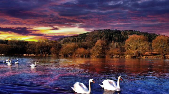 11++ High Resolution Nature Desktop Wallpaper 1920x1080 - Venera Wallpaper