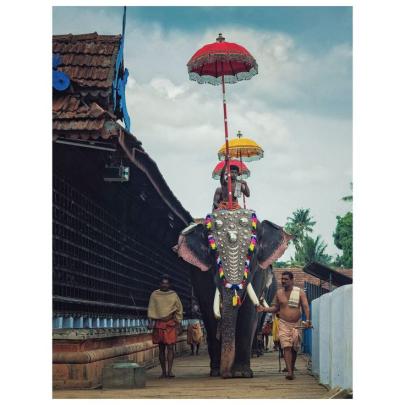 Kerala Elephant Hd Wallpapers 1920x1080 - wallpaper