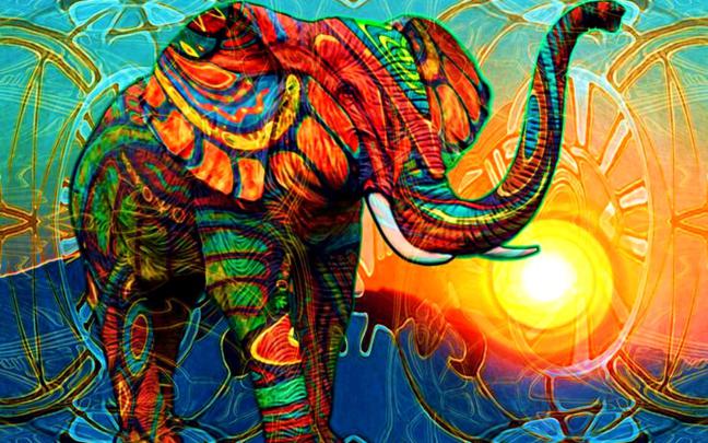 Hd Wallpapers Elephant - Free HD Wallpapers