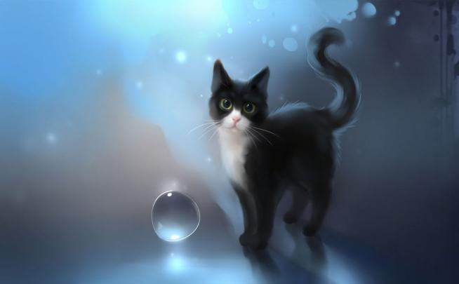 Download Underwater kitten 1920x1080 HD Wallpaper | Animal wallpaper 