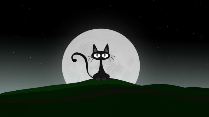 Free download Hd 1920x1080 Black Cat And Moon Desktop Wallpapers 
