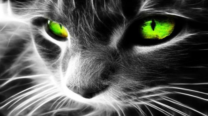 Free download Photos Backgrounds Computer Desktop Wallpaper HD 14jpg 