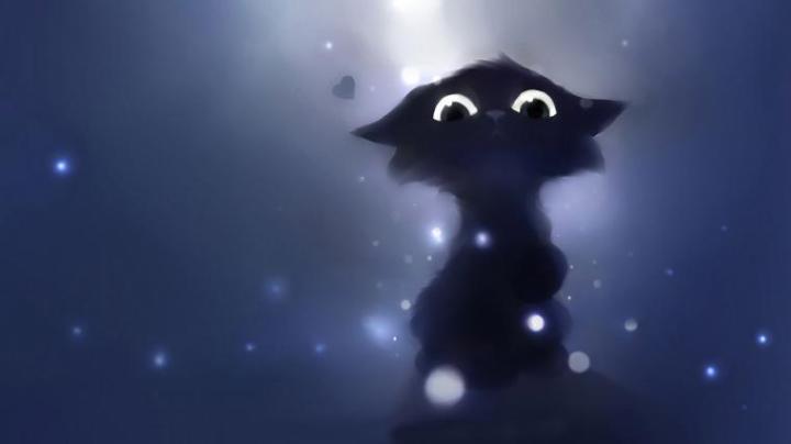 Free download Cat Wallpaper 26 [1920x1080] for your Desktop, Mobile 