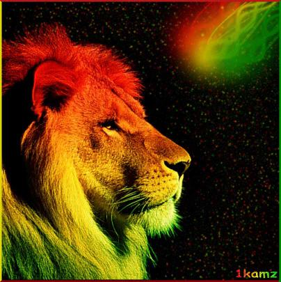 Rasta Color Wallpapers