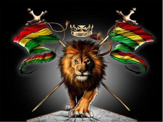 Lion Of Judah Rasta Wallpapers