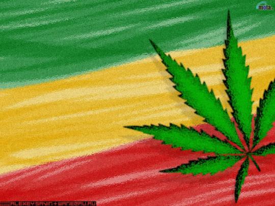 Rasta Wallpaper | Wallpup.com