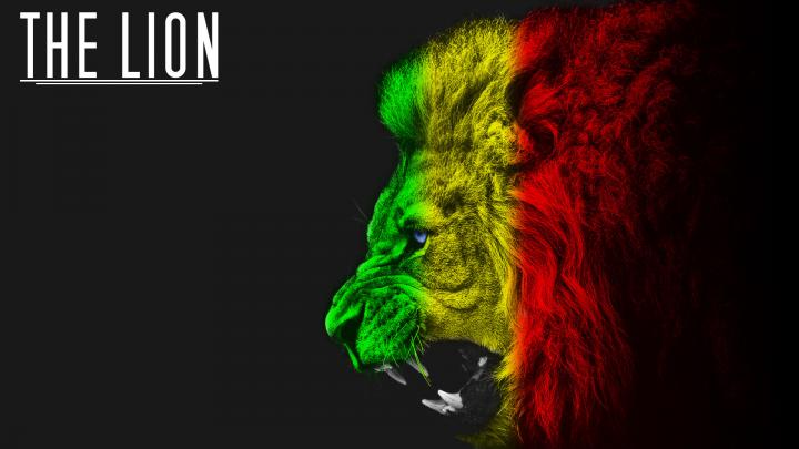 Rasta Lion Wallpaper (58+ images)