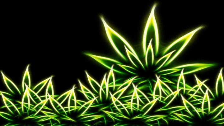 Rasta Weed Wallpapers on WallpaperDog