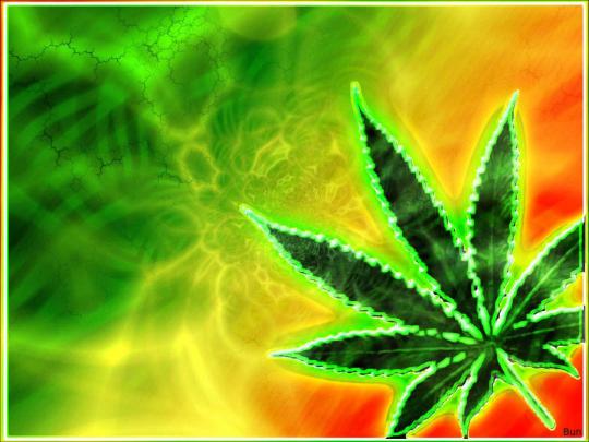 weed, Drugs, Marijuana, 420, Nature, Psychedelic, Plant, Cannabis 