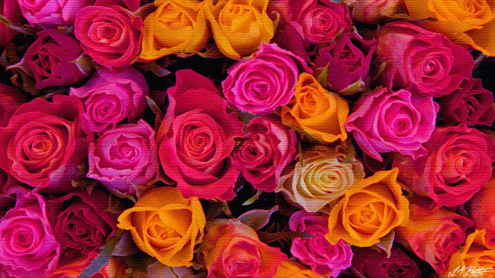 Roses Desktop Wallpaper \u00b7\u2460 