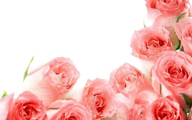 Roses Wallpapers For Desktop