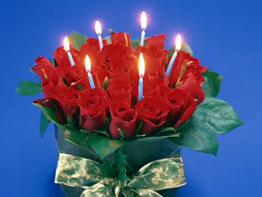 A Place For Free HD Wallpapers | Desktop Wallpapers: Roses Wallpapers