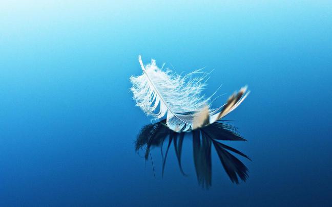 Beautiful Wallpapers for Desktop: Samsung wallpapers hd