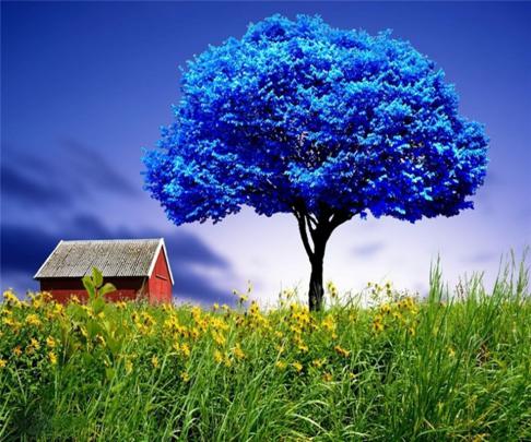 Beautiful Wallpapers for Desktop: Samsung wallpapers hd