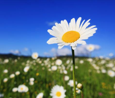 Beautiful Wallpapers for Desktop: Samsung wallpapers hd