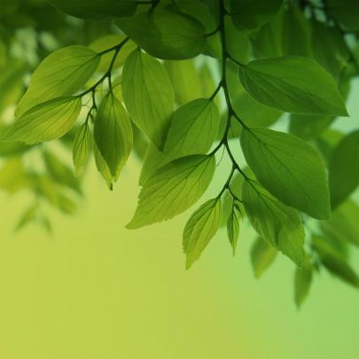 HD Wallpapers - Android, IOS, Windows Phone and Desktop: Samsung Galaxy 