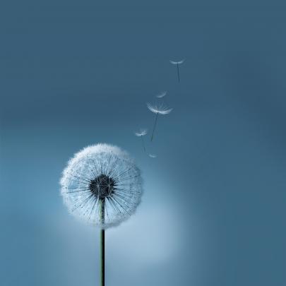 HD Wallpapers - Android, IOS, Windows Phone and Desktop: Samsung Galaxy 