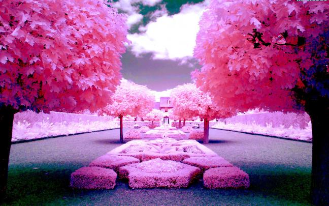 Desktop Images, Samsung Wallpaper, Background Images, - 1920x1200 
