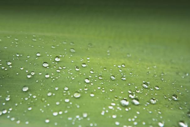 HD Wallpapers - Android, IOS, Windows Phone and Desktop: Samsung Galaxy 