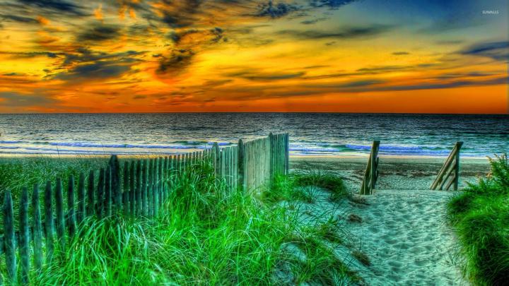 Amazing golden sunset over Santa Monica beach wallpaper - Beach 