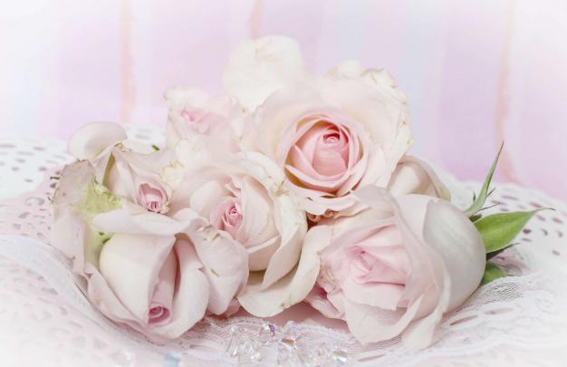 Shabby Chic Desktop Wallpapers - Top Free Shabby Chic Desktop 