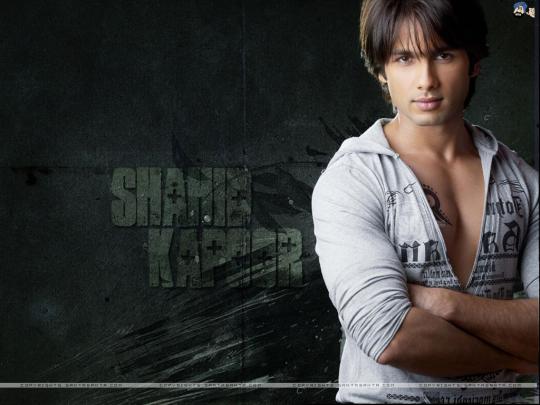 Bollywood Handsome Actor Shahid Kapoor Pictures: Sahid Kapoor Smiling 