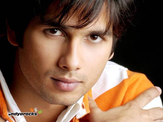 Cool wallpapers,Celebrities Wallpapers,Desktop Wallpapers: shah
