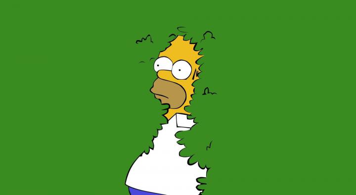 Homer Wall wallpaper, Homer Simpson illustration, Cartoons, The 