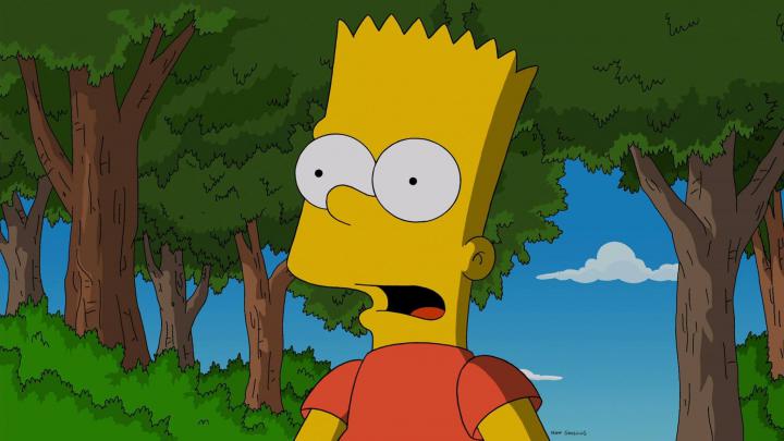 The Simpsons, Bart Simpson Wallpapers HD \/ Desktop and Mobile Backgrounds