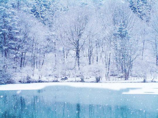 Free Desktop Wallpapers Winter Scenes