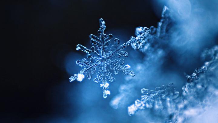 Real Snowflake \u2013 Bing Wallpaper Download