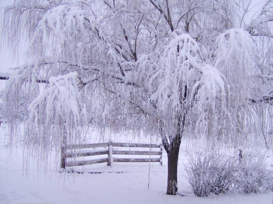 Free Winter Backgrounds Desktop