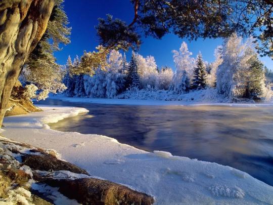 Winter Wallpaper HD For Desktop:Computer Wallpaper | Free Wallpaper 
