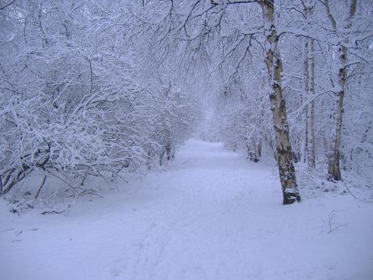 Free Desktop Wallpapers Winter Scenes