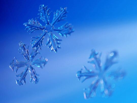 Free Snow Wallpapers For Desktop