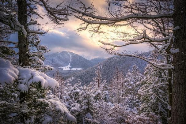 landscape, Nature, Winter, Sunset, Forest, Snow, Mountain, Clouds, Cold 