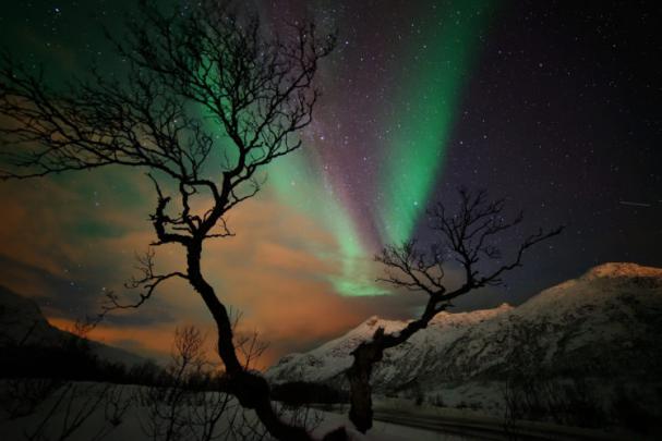 stars, Night, Mountains, Winter, Snow, Tree, Northern, Lights 