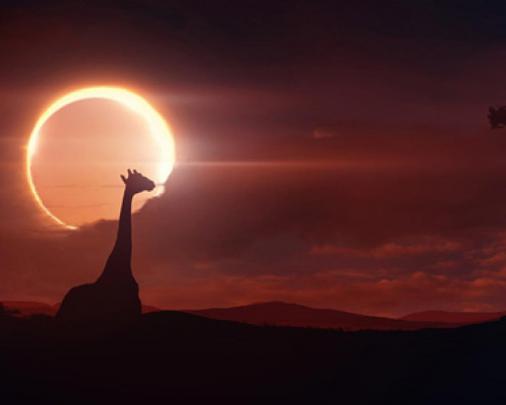 Solar Eclipse Wallpapers