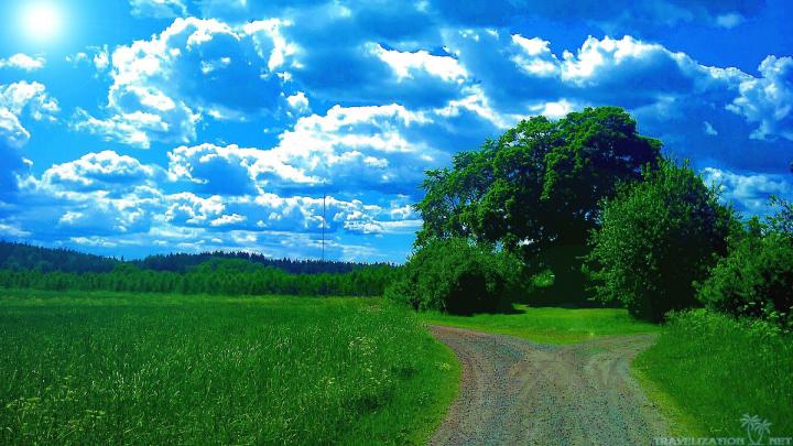 Summer Nature Wallpaper (70+ pictures)