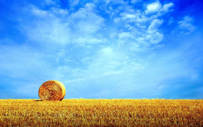 Summer Nature Wallpapers