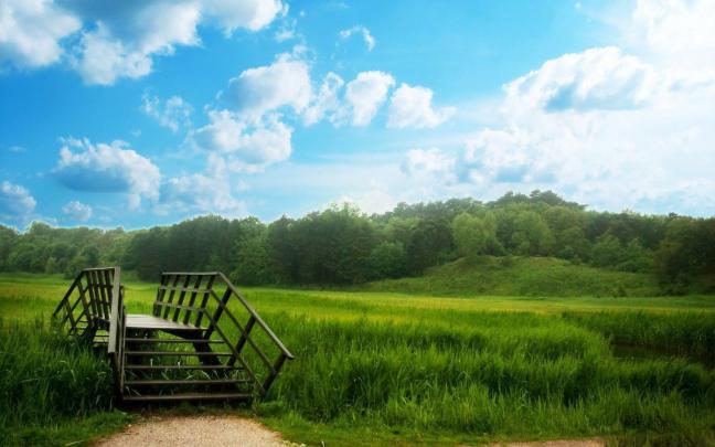 Summer Nature Wallpapers