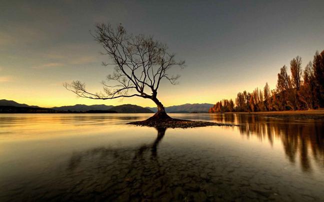 Summer Nature Wallpaper (70+ pictures)