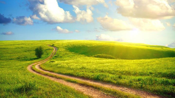 Summer Nature Wallpaper \u00b7\u2460 