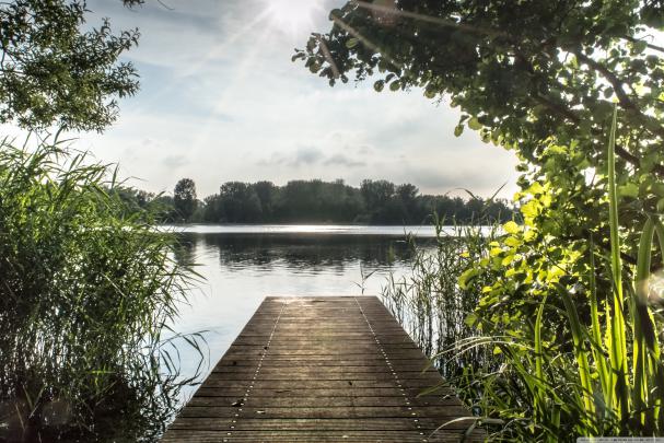 Summer Nature Wallpaper (70+ pictures)