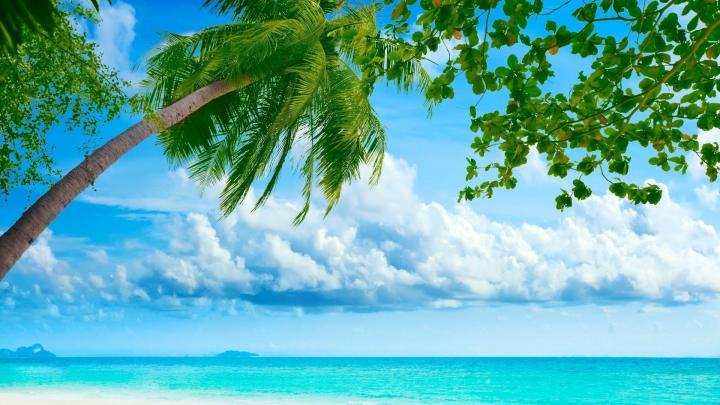 Summer Nature Wallpapers
