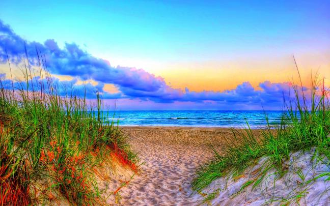 Summer Nature Wallpapers